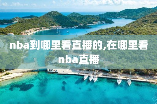 nba到哪里看直播的,在哪里看nba直播