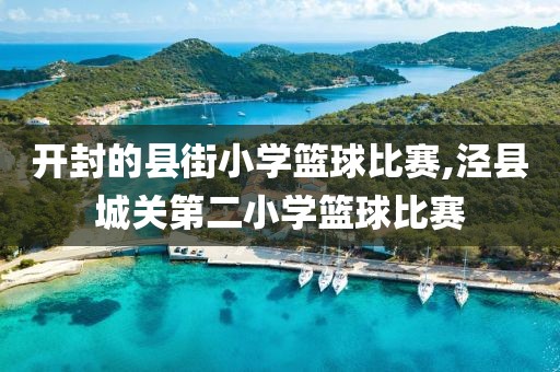 开封的县街小学篮球比赛,泾县城关第二小学篮球比赛