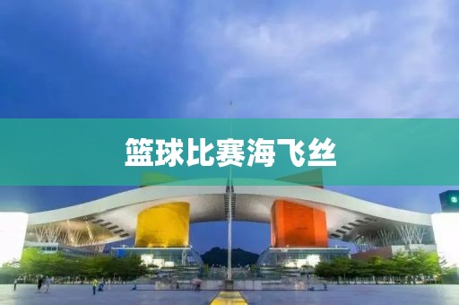 篮球比赛海飞丝