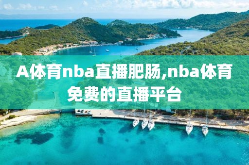 A体育nba直播肥肠,nba体育免费的直播平台