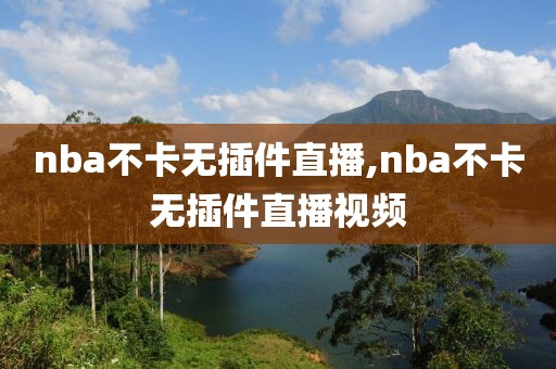 nba不卡无插件直播,nba不卡无插件直播视频