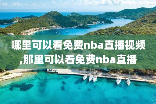 哪里可以看免费nba直播视频,那里可以看免费nba直播