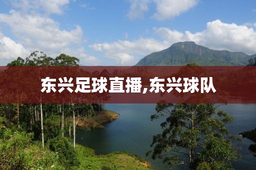 东兴足球直播,东兴球队