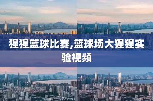 猩猩篮球比赛,篮球场大猩猩实验视频