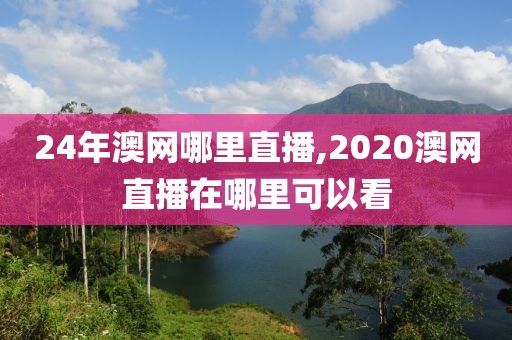 24年澳网哪里直播,2020澳网直播在哪里可以看