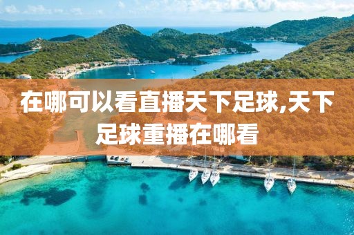 在哪可以看直播天下足球,天下足球重播在哪看