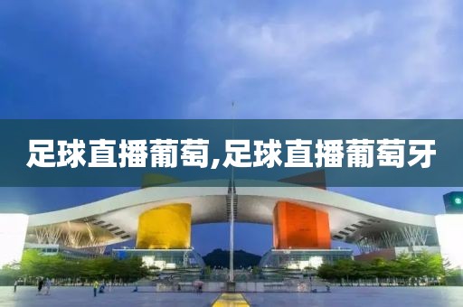 足球直播葡萄,足球直播葡萄牙