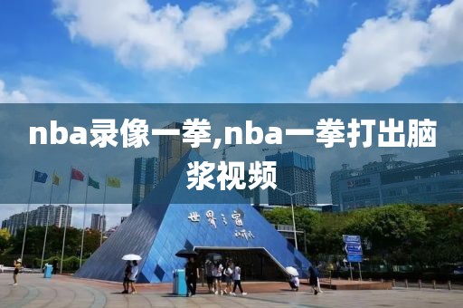 nba录像一拳,nba一拳打出脑浆视频