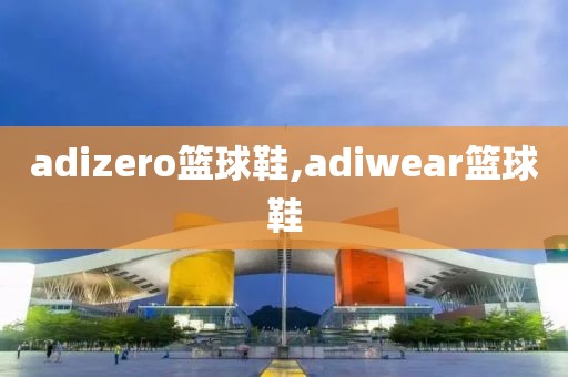 adizero篮球鞋,adiwear篮球鞋