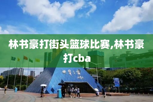 林书豪打街头篮球比赛,林书豪打cba