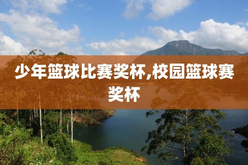 少年篮球比赛奖杯,校园篮球赛奖杯