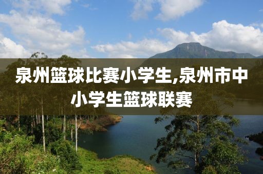 泉州篮球比赛小学生,泉州市中小学生篮球联赛