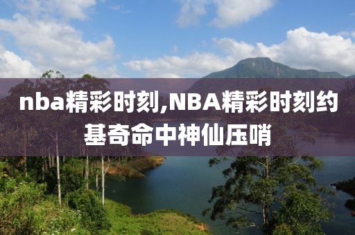 nba精彩时刻,NBA精彩时刻约基奇命中神仙压哨