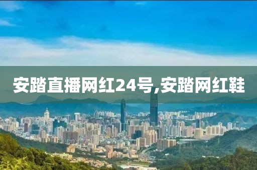 安踏直播网红24号,安踏网红鞋