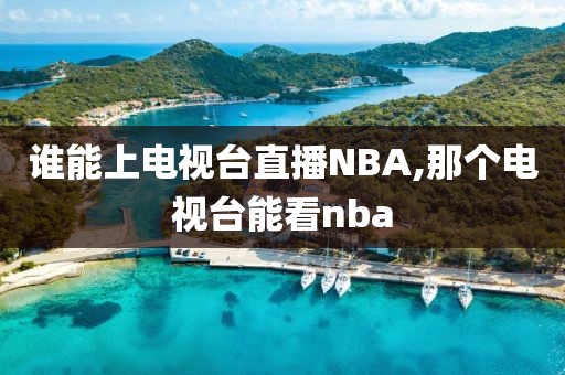 谁能上电视台直播NBA,那个电视台能看nba