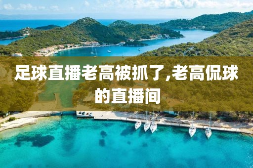 足球直播老高被抓了,老高侃球的直播间