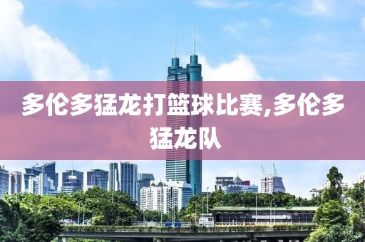 多伦多猛龙打篮球比赛,多伦多 猛龙队