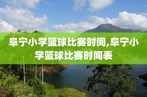 阜宁小学篮球比赛时间,阜宁小学篮球比赛时间表