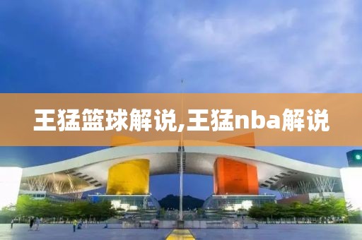 王猛篮球解说,王猛nba解说