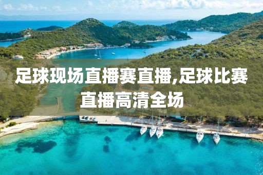 足球现场直播赛直播,足球比赛直播高清全场