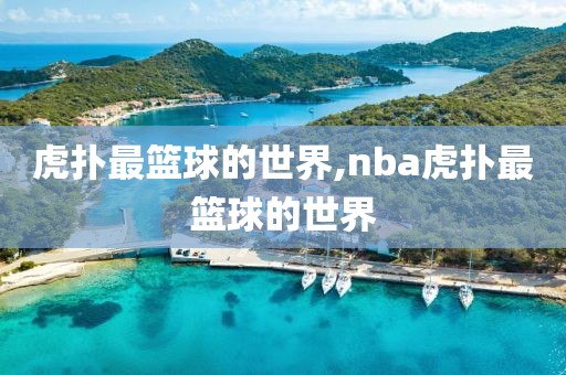 虎扑最篮球的世界,nba虎扑最篮球的世界