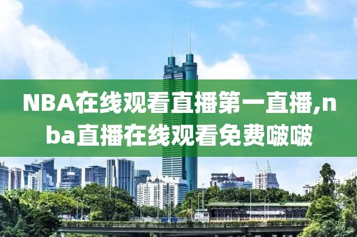 NBA在线观看直播第一直播,nba直播在线观看免费啵啵