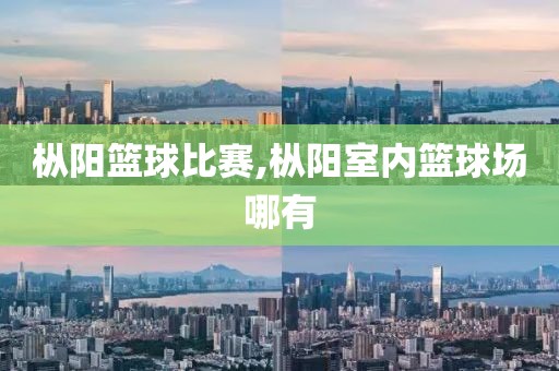枞阳篮球比赛,枞阳室内篮球场哪有