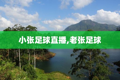 小张足球直播,老张足球