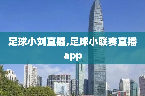 足球小刘直播,足球小联赛直播app