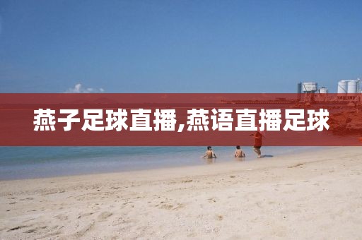 燕子足球直播,燕语直播足球