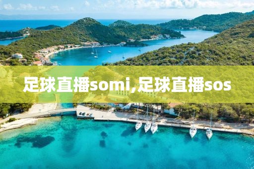 足球直播somi,足球直播sos