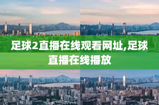 足球2直播在线观看网址,足球直播在线播放