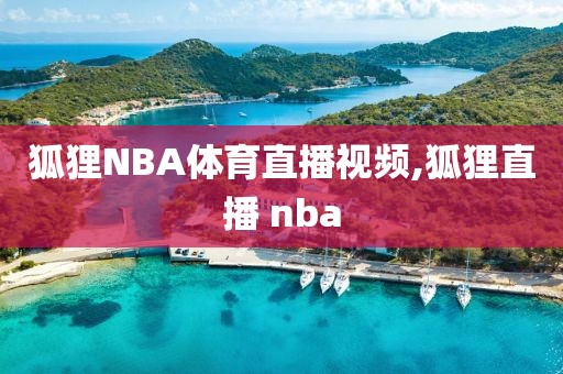 狐狸NBA体育直播视频,狐狸直播 nba