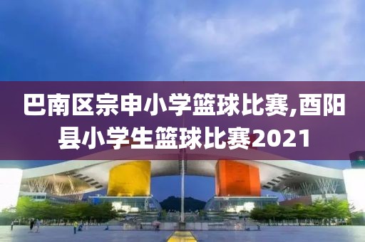 巴南区宗申小学篮球比赛,酉阳县小学生篮球比赛2021