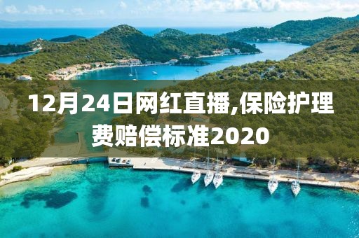 12月24日网红直播,保险护理费赔偿标准2020
