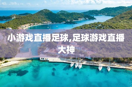 小游戏直播足球,足球游戏直播大神