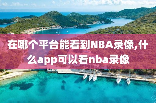 在哪个平台能看到NBA录像,什么app可以看nba录像