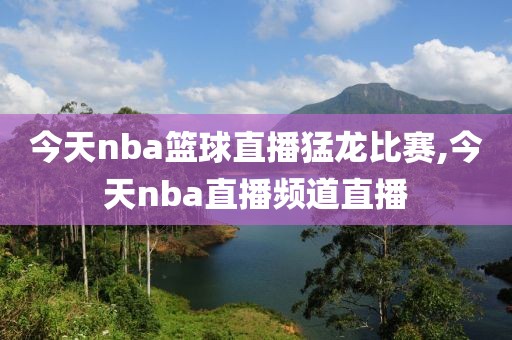 今天nba篮球直播猛龙比赛,今天nba直播频道直播