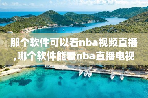 那个软件可以看nba视频直播,哪个软件能看nba直播电视