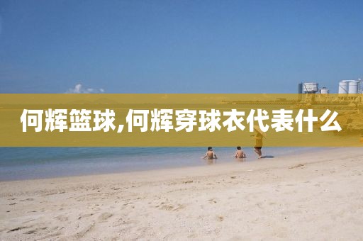 何辉篮球,何辉穿球衣代表什么