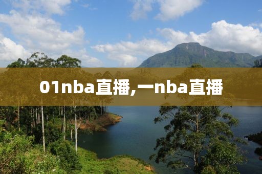 01nba直播,一nba直播