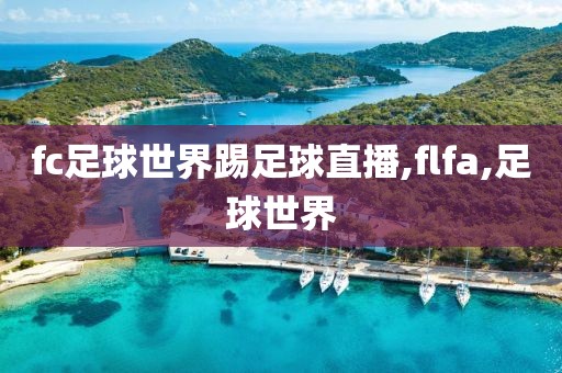 fc足球世界踢足球直播,flfa,足球世界
