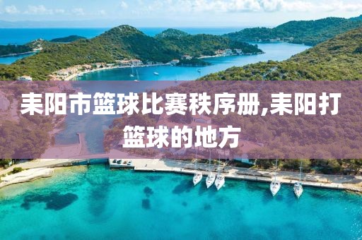 耒阳市篮球比赛秩序册,耒阳打篮球的地方