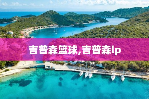 吉普森篮球,吉普森lp