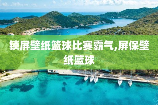 锁屏壁纸篮球比赛霸气,屏保壁纸篮球