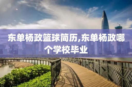 东单杨政篮球简历,东单杨政哪个学校毕业