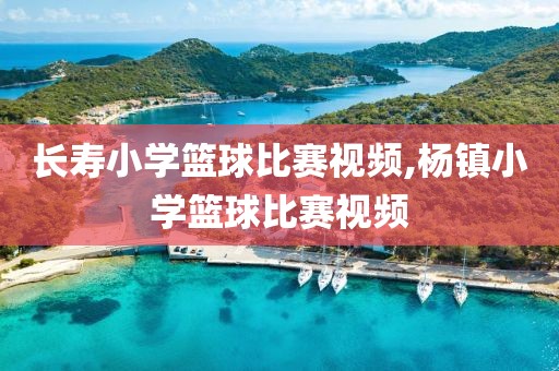 长寿小学篮球比赛视频,杨镇小学篮球比赛视频