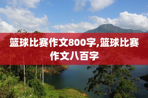 篮球比赛作文800字,篮球比赛作文八百字