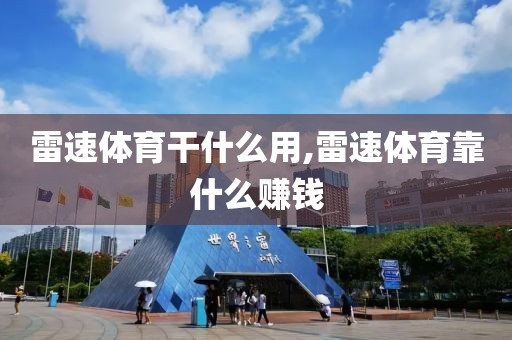 雷速体育干什么用,雷速体育靠什么赚钱