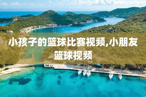 小孩子的篮球比赛视频,小朋友篮球视频